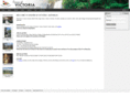 visionsofvictoria.com