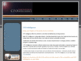 cfointelligence.com