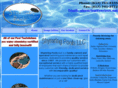 myshymringpools.com