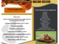 tbagsnugglebeds.com