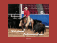 willhansonperformancehorses.com