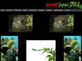acehnature.com