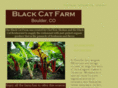 blackcatfarm.org