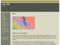 carosilk.com