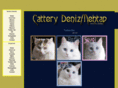 cattery-denizvemehtap.com