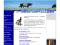 horse-and-tack.com