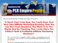 plrempireprofits.com