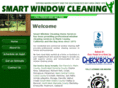smartwindowcleaning.com