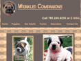 wrinkledcompanions.com