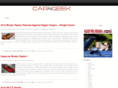 car4geek.com