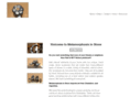 metamorphosisinstone.com