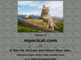 myocicat.com