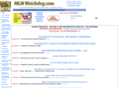 shocking-success-inc.com