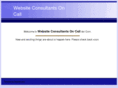 websiteconsultantsoncall.com