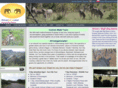 africangamesafari.com