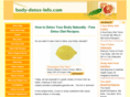 body-detox-info.com