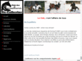 cavaliersstecatherine.com