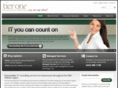 tieroneit.com