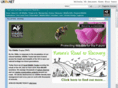 fostersonline.co.uk