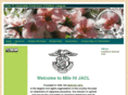 milehijacl.org