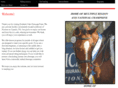 ridinglessonsatsouthernoaksdressage.com