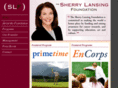 sherrylansingfoundation.com