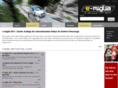 the-electricavenue.com