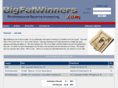 bigfatwinners.com