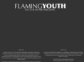 flamingyouth.de