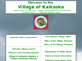 kalkaskavillage.com