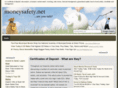 moneysafety.net