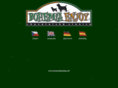 bohemiaenjoy.net