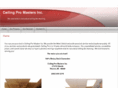 ceilingpromasters.com