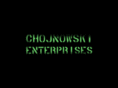 chojnowskienterprises.com