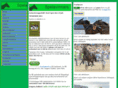 spelavinnare.com
