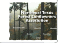 txforest.org