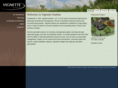 vignettestudios.com