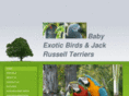 babyexoticbirds.com