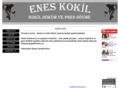 eneskokil.com