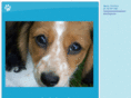 cmcdachshunds.com