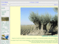 o-livo.com