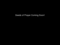 seedsofprayer.com