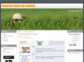 bigdogfinder.com