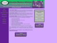 execbussol.com