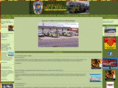 hollinsfireandrescue.org