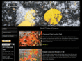 leaf-pictures.com