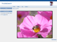 ndhom.com