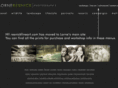 resnickfineart.com