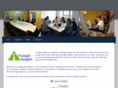 triangleinsights.com