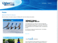 bluefireventures.com
